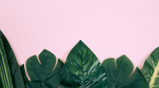 House of cutie menstrual cups placed in different positions on a purple background